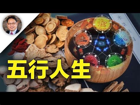 飲食業五行|【飲食業 五行】「飲食業五行探秘！你適合經營飲食業嗎？」